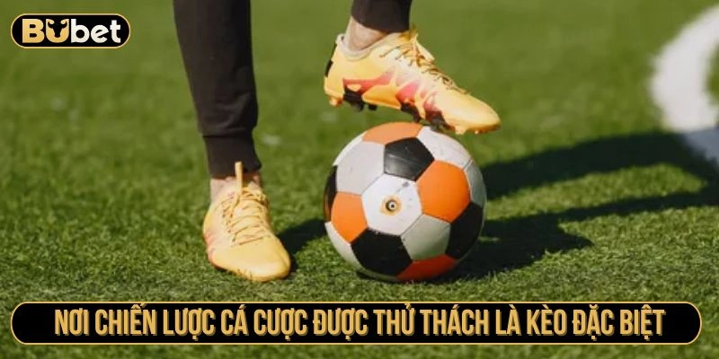 Nơi chiến lược cá cược được thử thách là kèo đặc biệt