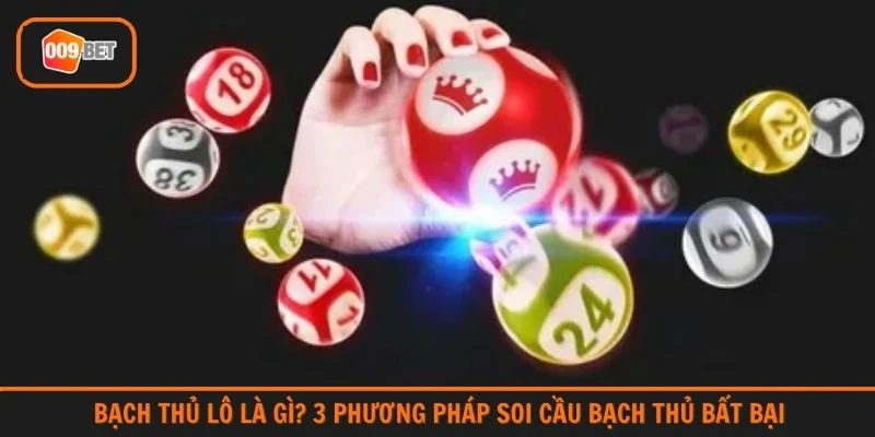 bạch thủ lô là gì